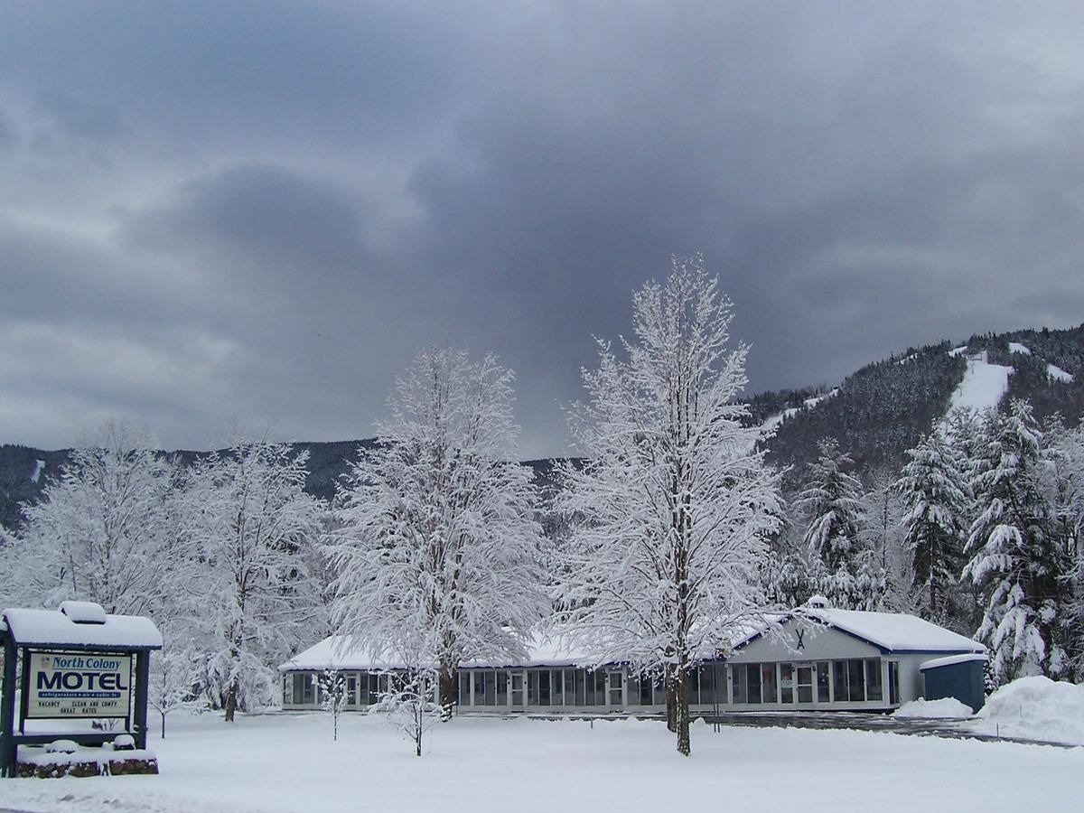 North Colony Motel And Cottages 바틀릿 외부 사진